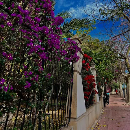 Miramar V Lejlighed Torrevieja