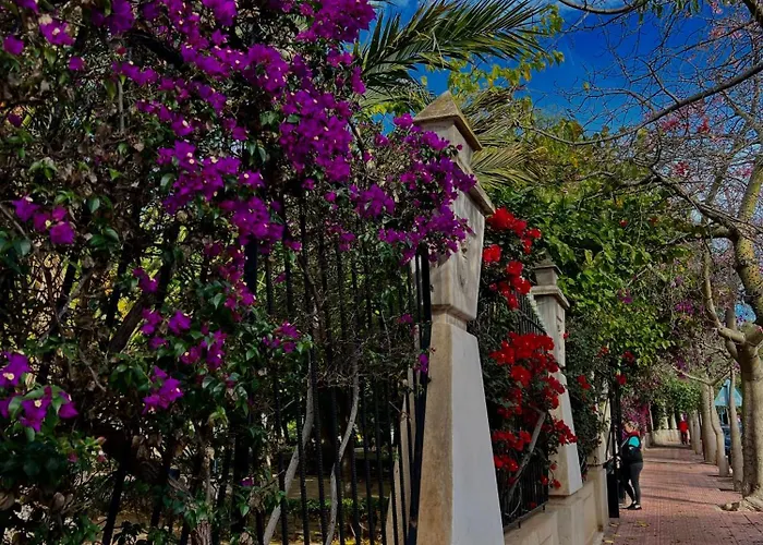 Miramar V Apartamento Torrevieja