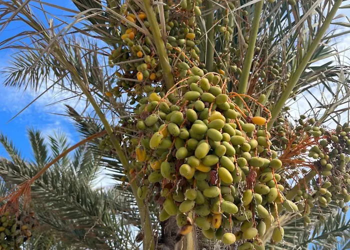 Miramar V Lejlighed *